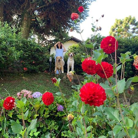 Casa Das Dalias 蒙特韦尔迪 外观 照片